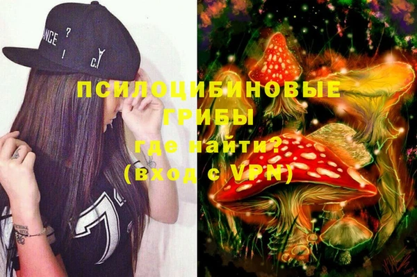 кокс Белокуриха